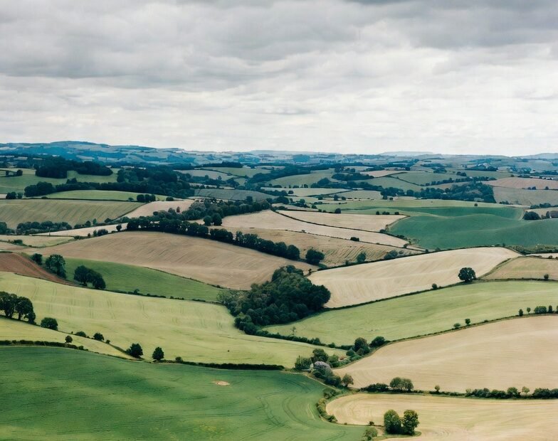 Opportunities in Job Fields UK with Work Visas